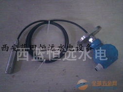 水電設(shè)備 ltj31電纜投入式液位變送器廠家 圖片 報(bào)價(jià) 資料 說(shuō)明